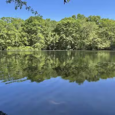 Blydenburgh Park - Smithtown, NY