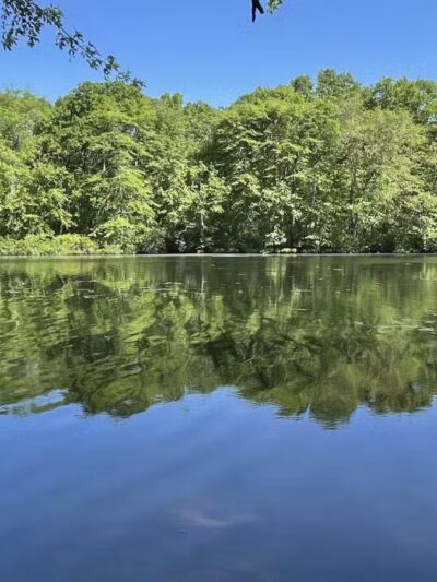 Blydenburgh Park - Smithtown, NY