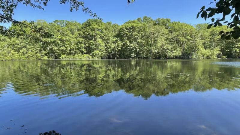 Blydenburgh Park - Smithtown, NY