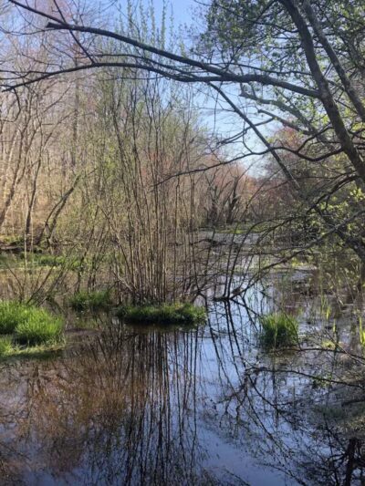 Blydenburgh Park - Smithtown, NY