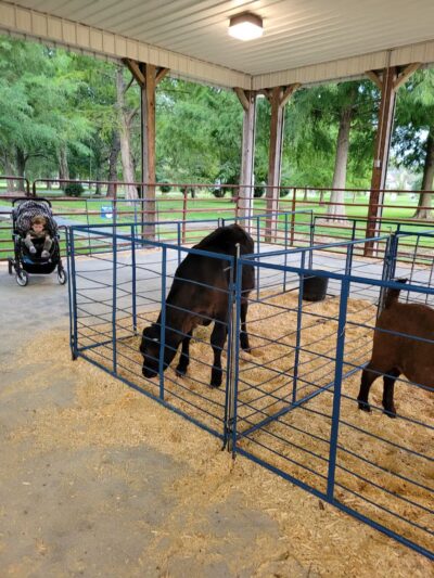 Byrd Park - Snow Hill, MD