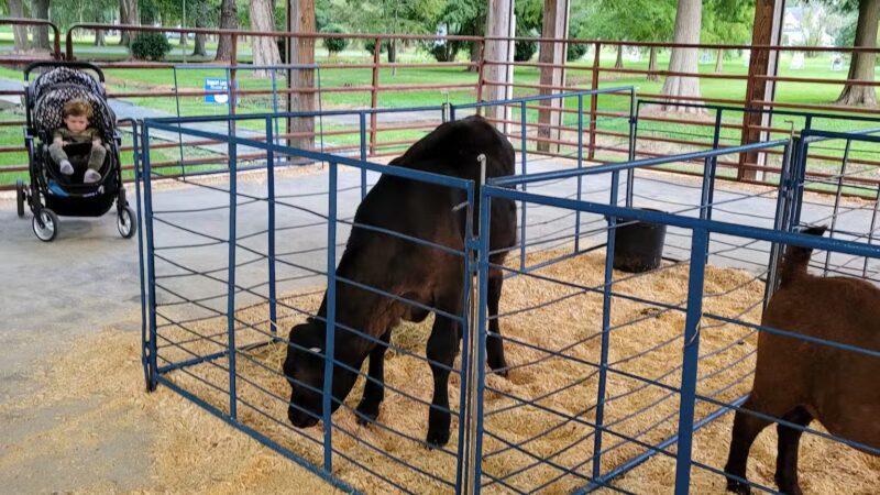Byrd Park - Snow Hill, MD