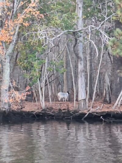 Byrd Park - Snow Hill, MD