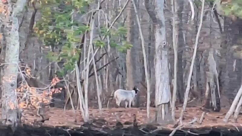 Byrd Park - Snow Hill, MD
