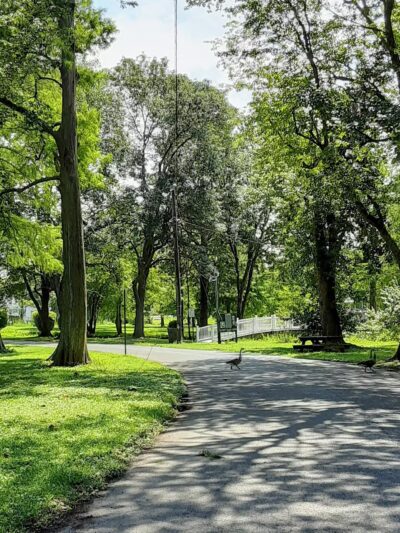 Byrd Park - Snow Hill, MD