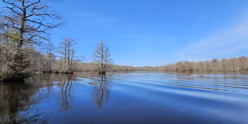 Pocomoke River State Park: Shad Landing - Snow Hill, MD