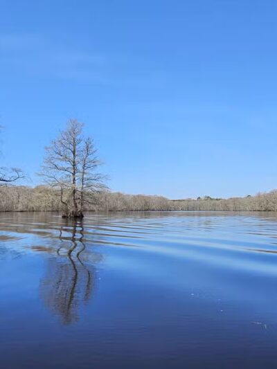 Pocomoke River State Park: Shad Landing - Snow Hill, MD
