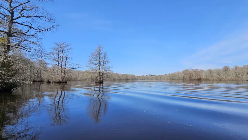 Pocomoke River State Park: Shad Landing - Snow Hill, MD