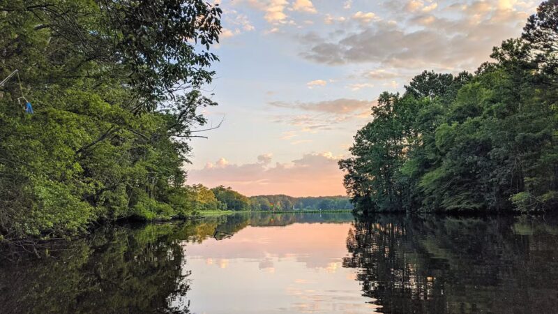 Pocomoke River State Park: Shad Landing - Snow Hill, MD