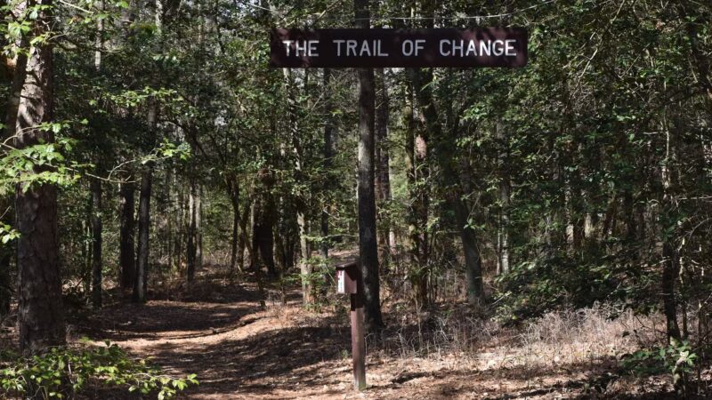Pocomoke River State Park: Shad Landing - Snow Hill, MD