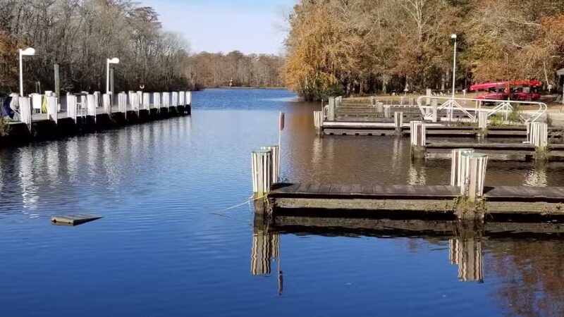Pocomoke River State Park: Shad Landing - Snow Hill, MD