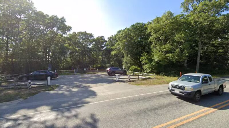 Fresh Pond dog park - South Dennis, MA