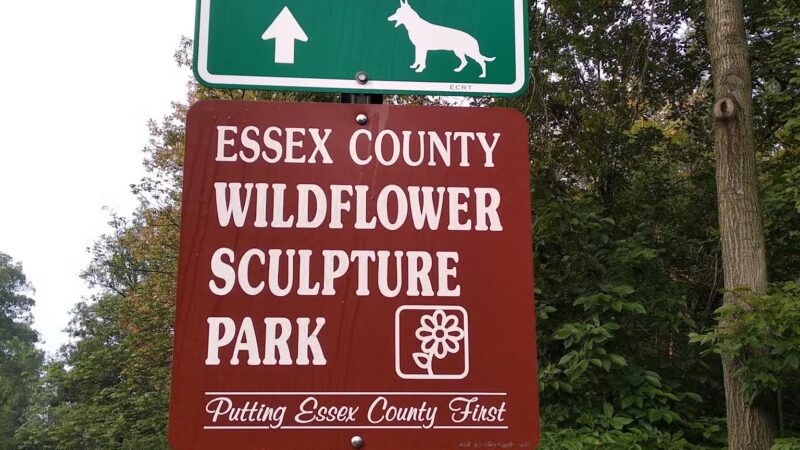 Parking Lot - South Orange Village, NJ