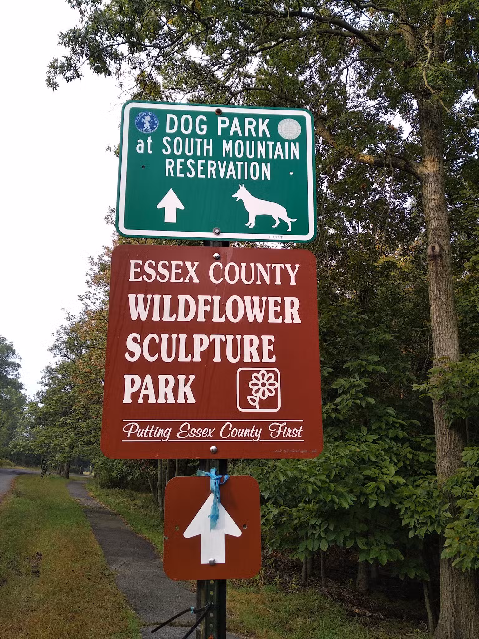 Parking Lot - South Orange Village, NJ