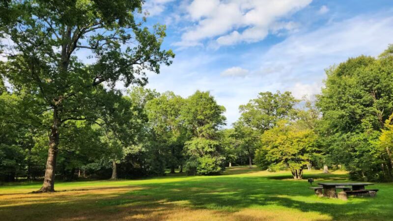 Summit Field - South Orange Village, NJ