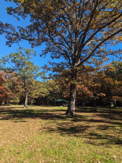 Summit Field - South Orange Village, NJ
