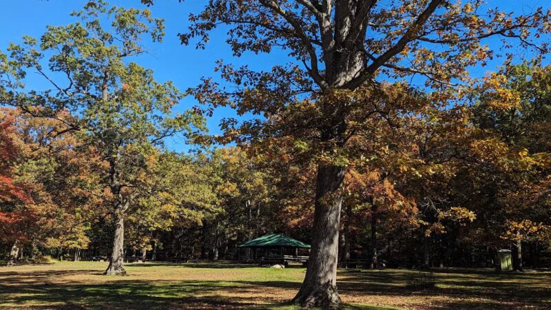 Summit Field - South Orange Village, NJ