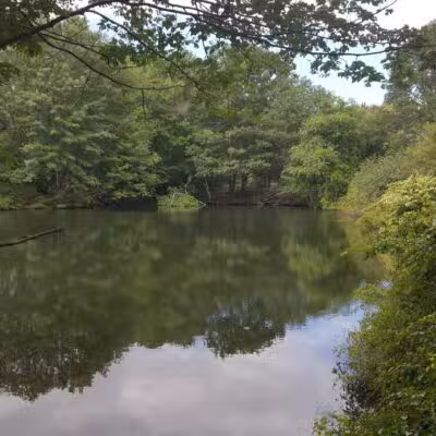 Hinckley Park - South Portland, ME