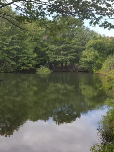 Hinckley Park - South Portland, ME