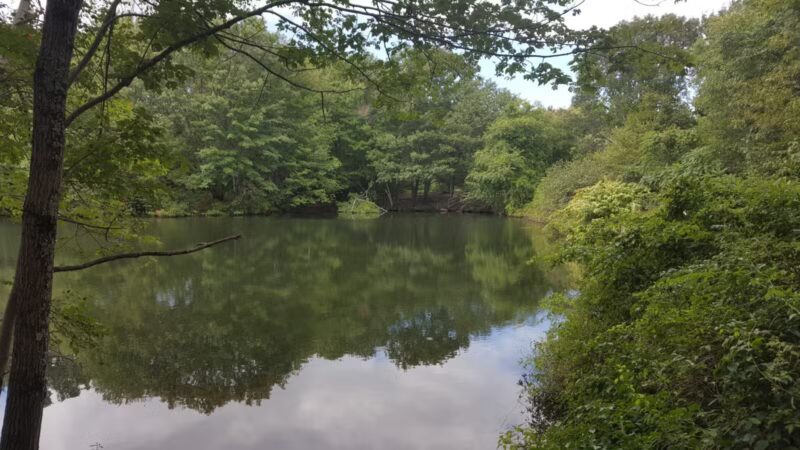 Hinckley Park - South Portland, ME