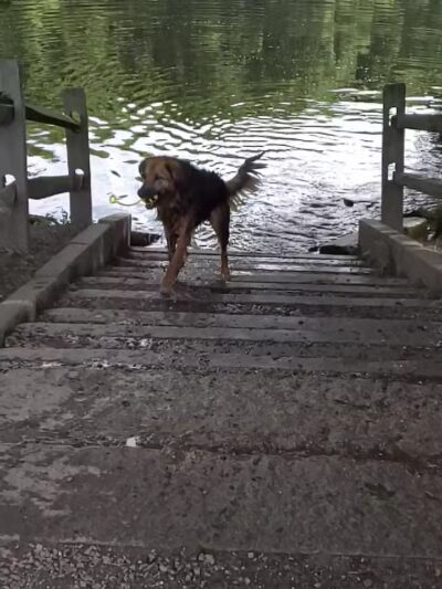 Hinckley Park - South Portland, ME
