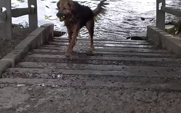 Hinckley Park - South Portland, ME