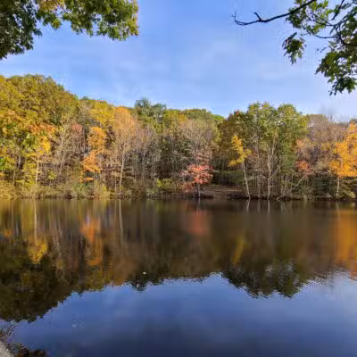 Hinckley Park - South Portland, ME