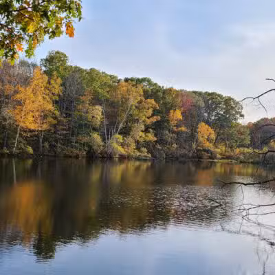 Hinckley Park - South Portland, ME