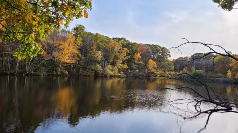 Hinckley Park - South Portland, ME