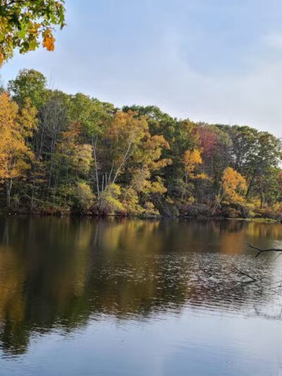 Hinckley Park - South Portland, ME