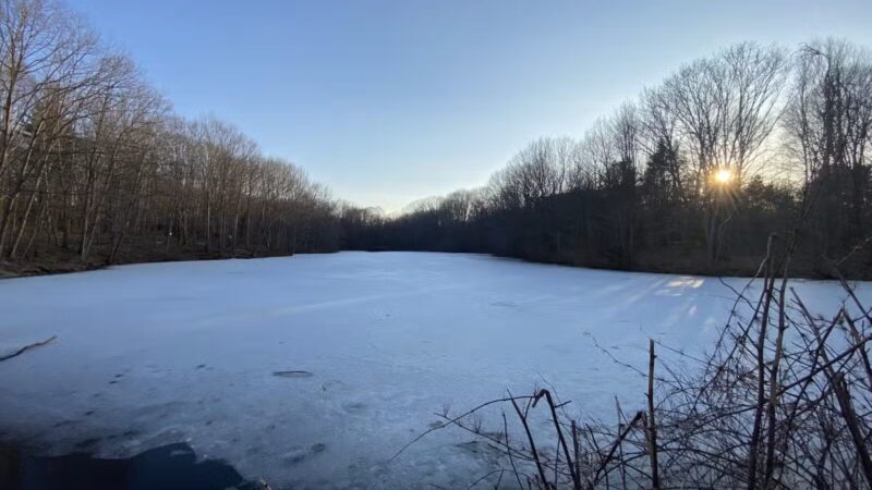 Hinckley Park - South Portland, ME
