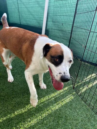 The Bark Yard - South Portland, ME