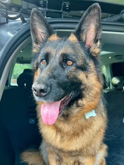 The Bark Yard - South Portland, ME