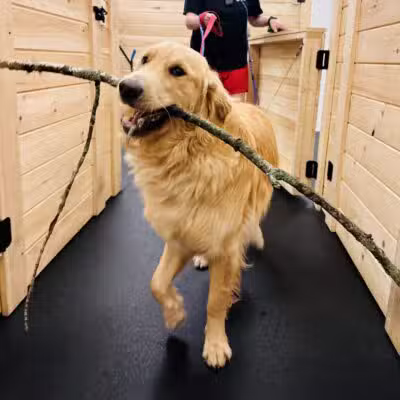 The Bark Yard - South Portland, ME