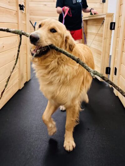 The Bark Yard - South Portland, ME
