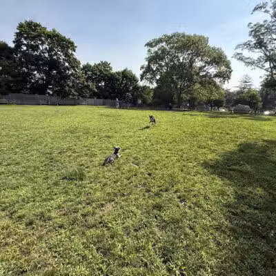 Lola Prentice Memorial Dog Park - Southampton, NY
