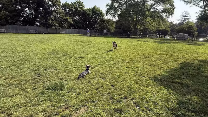 Lola Prentice Memorial Dog Park - Southampton, NY