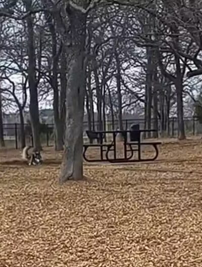 Boo Boo's Buddies Dog Park - Southlake, TX