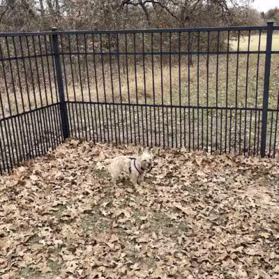Boo Boo's Buddies Dog Park - Southlake, TX