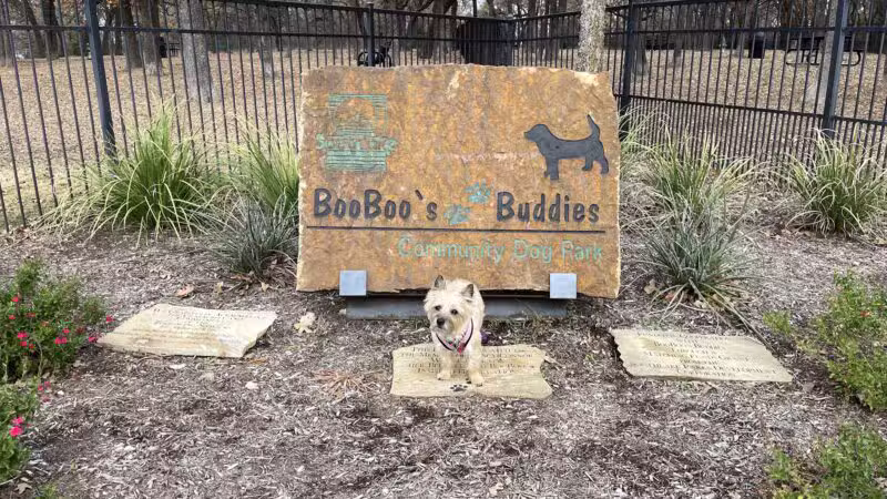 Boo Boo's Buddies Dog Park - Southlake, TX