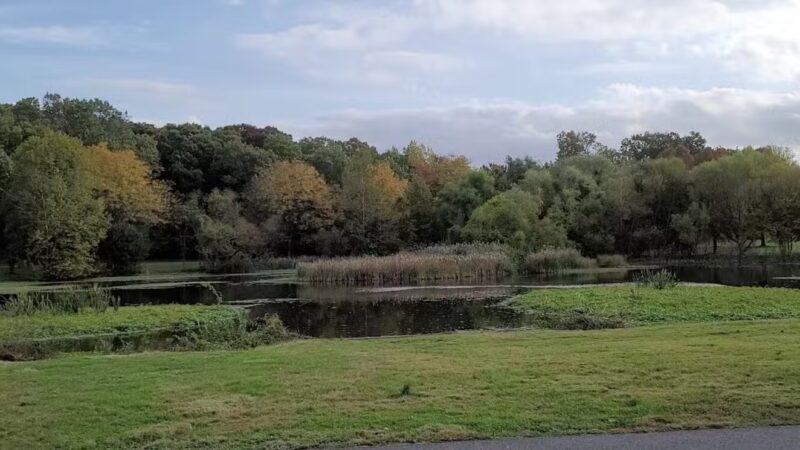 Briant Park - Springfield, NJ