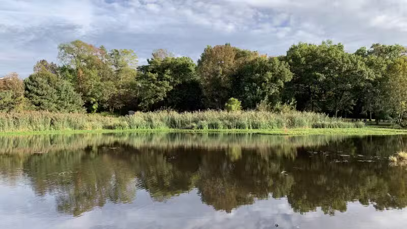 Briant Park - Springfield, NJ
