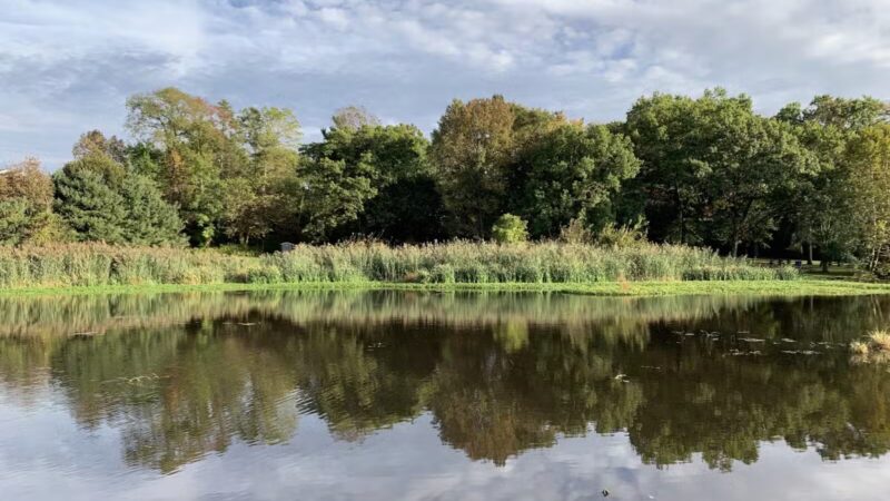 Briant Park - Springfield, NJ