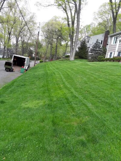 Laurel Park - Springfield, NJ