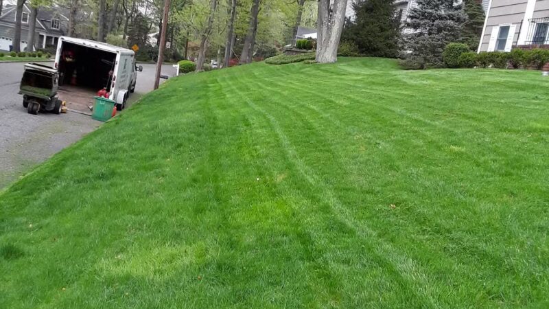 Laurel Park - Springfield, NJ