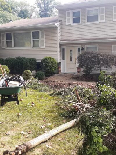 Laurel Park - Springfield, NJ