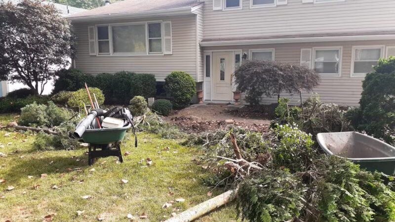 Laurel Park - Springfield, NJ