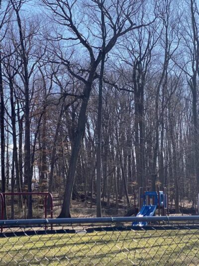 Smithfield Park - Springfield, NJ