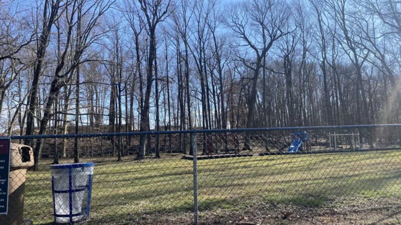 Smithfield Park - Springfield, NJ