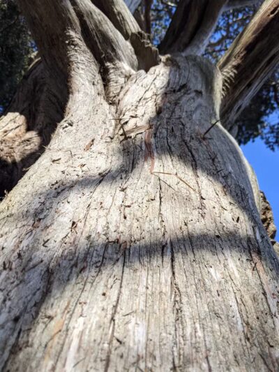 Avalon Parking Spots - St James, NY